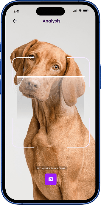 Quick AI Scan interface