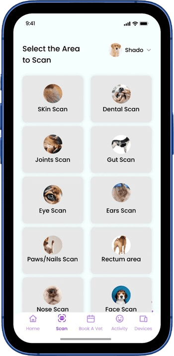 Continuous Monitoring interface